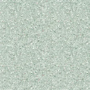 Chive - 2712