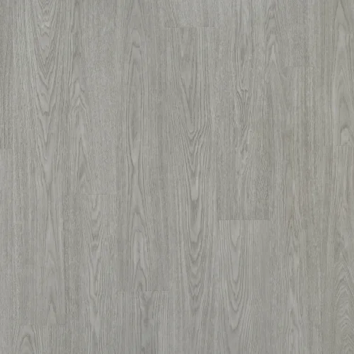 Oyster Ash
